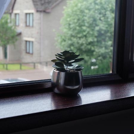 15 Bronant Lejlighed Talgarth Eksteriør billede